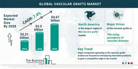 Global Vascular Grafts Market Size And Growth Infographic