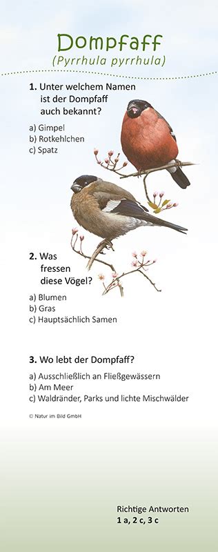 Dompfaff Quiztafel Lehrtafeln Natur im Bild Lehrtafeln für Natur