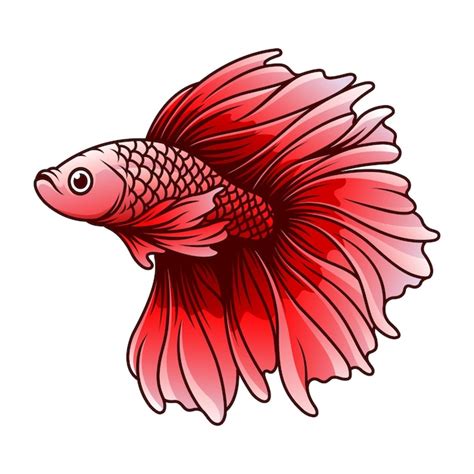 Premium Vector Betta Fish Vector Illustration