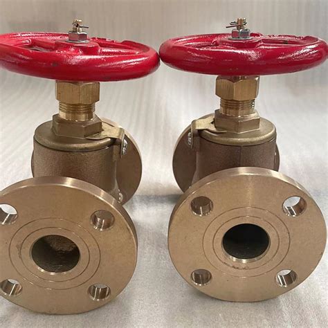 High Quality Jis F Marine Stainless K Globe Check Valve China