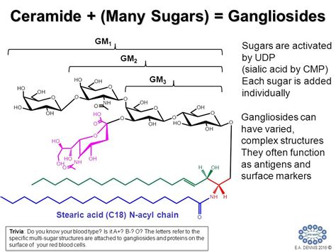 Biom Chem Pharm Sphingolipid And Sterol Metabolism