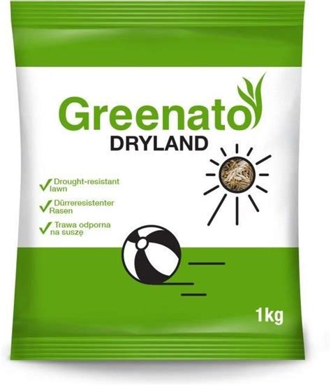 Trawa Odporna Na Suszę Greenato Dryland 3Kg Ceny i opinie Ceneo pl