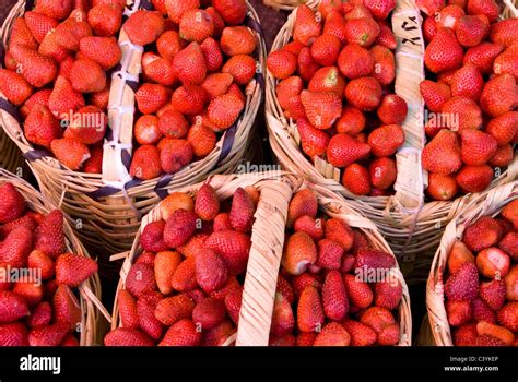 la merced market mexico city stock photo alamy