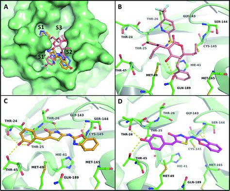 Illustration Of Different Binding Mechanisms Of BT Hybrids Within The