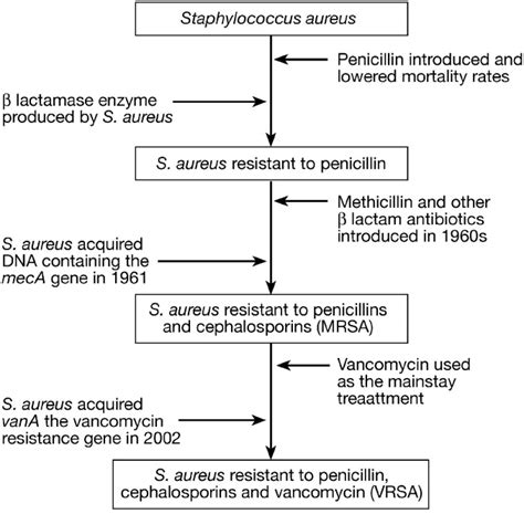 Methicillin Resistant Staphylococcus Aureus