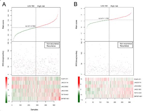 A Lncrna Based Risk Score Model In The Training And Validation Dataset Download Scientific