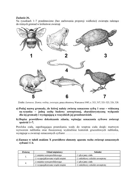 Zwierz Ta Troch Zada Troch Teorii Ucz Si Zadanie Na