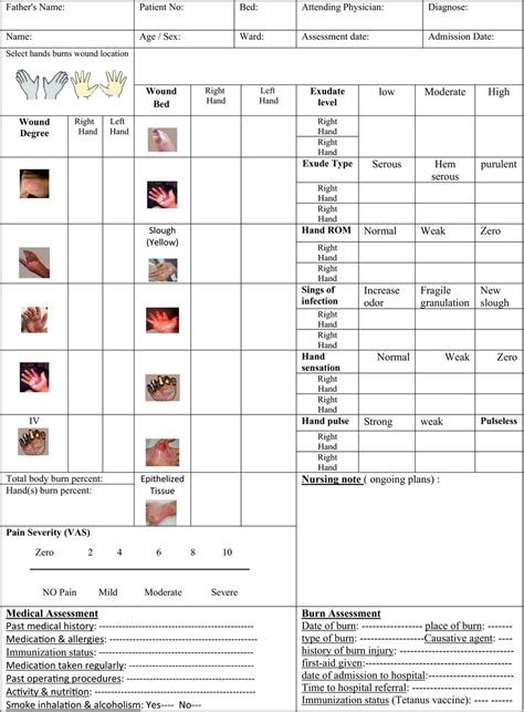 Initial Hand Burn Wound Assessment Sheet Download Scientific Diagram