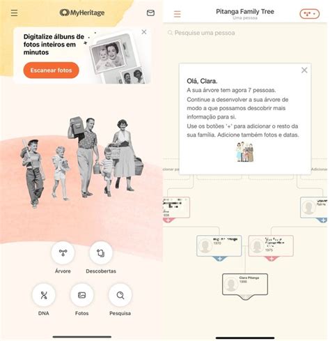 Árvore genealógica confira 5 aplicativos para montar a sua