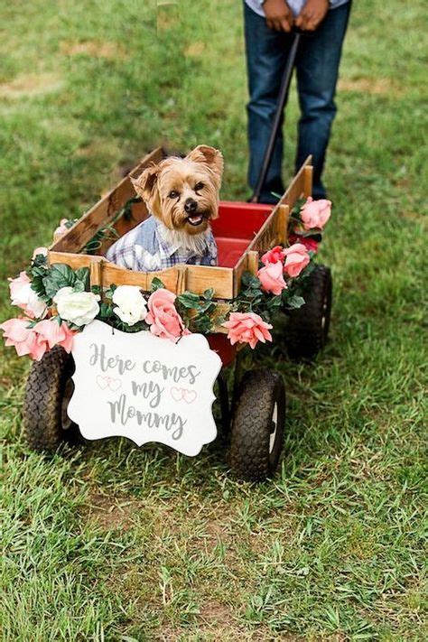 Cómo Incluir Mascotas En Tu Boda Los Mejores Consejos E Ideas Perros