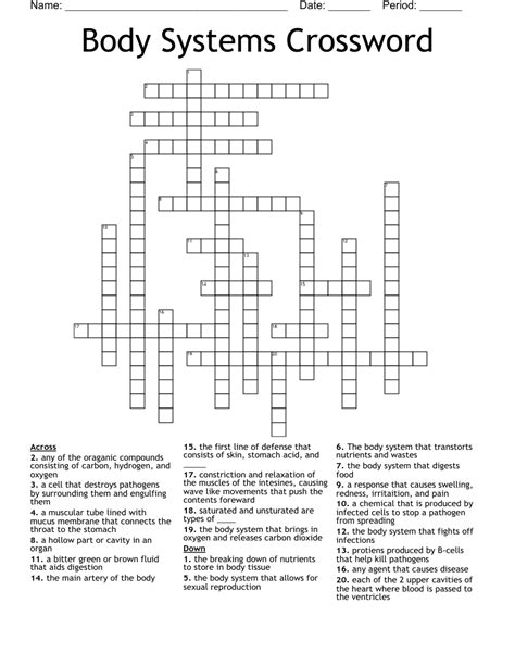 Body Systems Crossword Wordmint