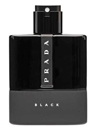 Actualizar Imagen What Does Prada Black Smell Like Abzlocal Mx