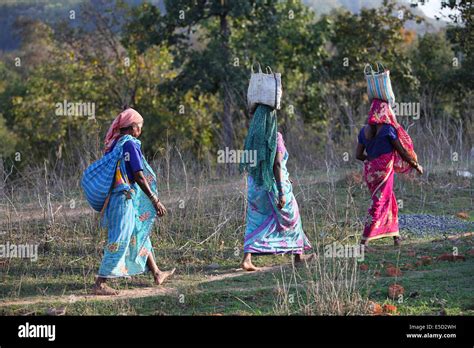 Tribal Women Walking Down The Forest Pahadi Korba Tribe Jambhata