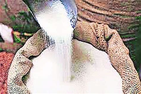 ‘पूर्णाकडून सात लाख क्विंटलपर्यंत साखरेचे उत्पादन Sugar Production