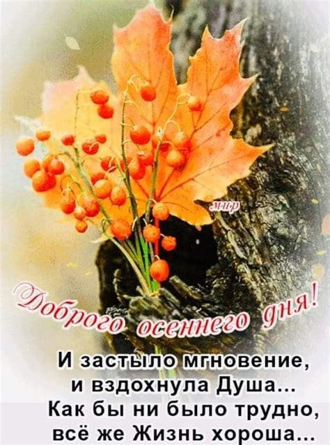 Pin van Alla Nev Вязание Джемпер Плать op доброе утро