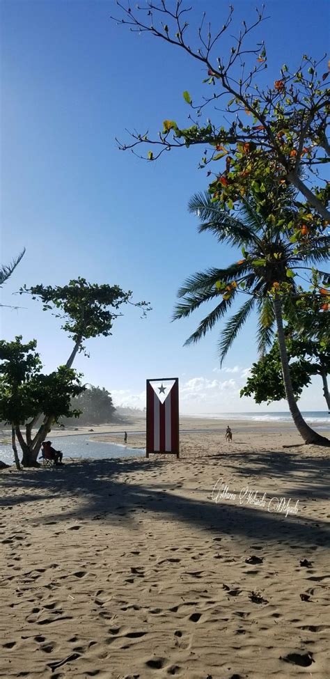 El Gran Parque Del Norte Hatillo 🇵🇷