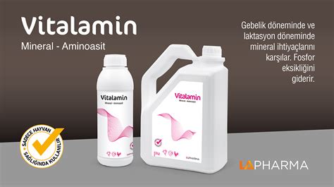 Vitalamin 1 Lt – Lapharma İlaç