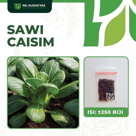 Jual Benih Sawi Caisim Shinta Sayur Sayuran Hijau Sawi Bakso Unggul