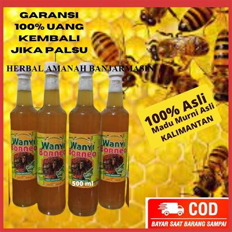 Jual MADU WANYI BORNEO MADU ASLI 100 MURNI ORIGINAL Asli Hutan