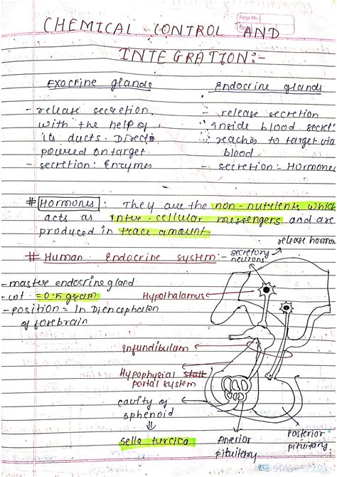 Solution Chemical Control And Integration Neet Biology Detailed Notes