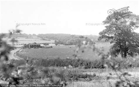 Photo Of Chigwell Row General View Of Hainault Forest C1955