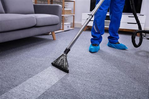 How To Clean The Dirty Carpet At Charles Jones Blog