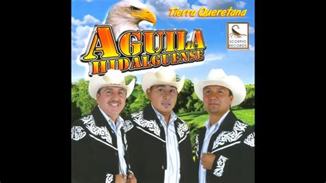 Aguila Hidalguense La Azucena Youtube