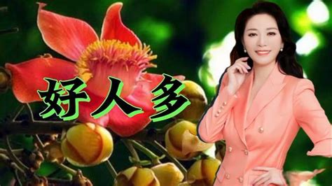 美女歌唱家斯兰一首原唱歌曲《好人多》这是她最最最好听的一首歌 音乐视频 搜狐视频