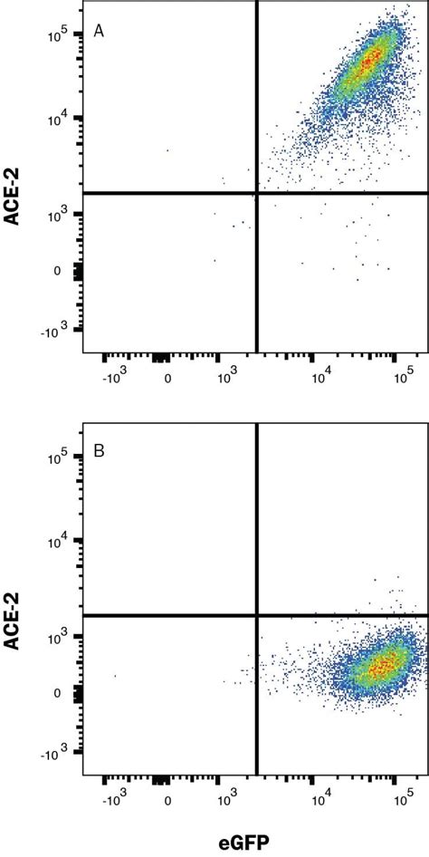 Human ACE 2 Alexa Fluor 647 Conjugated Antibody FAB9332R 100UG R D