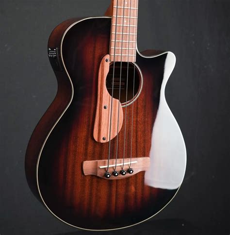 The 5 Best Acoustic Basses For Under $1000 – GuitarMeet