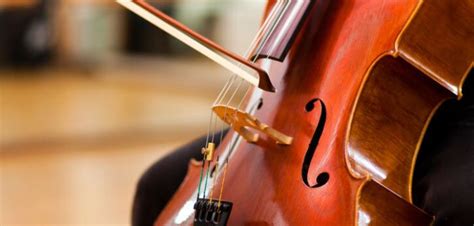 Violonchelo San Lorenzo De El Escorial