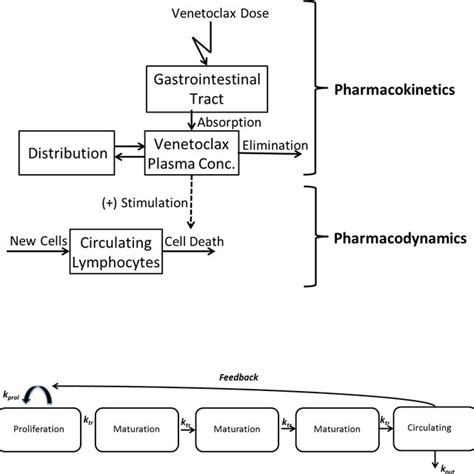 Parameter Estimates Of The Population Pharmacokinetic And Download