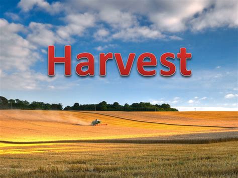 Harvest Assembly Teaching Resources