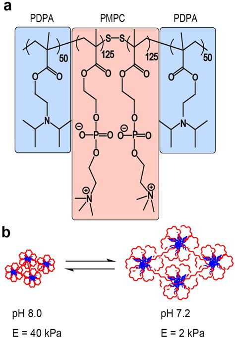 Schematic Illustration Of Stimulus Responsive Substrates Chemical