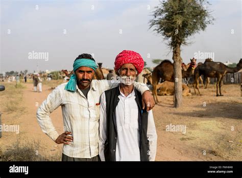 Nagaur Cattle Fair, Rajasthan Stock Photo - Alamy