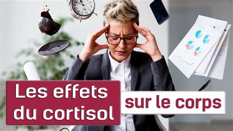 Les Effets Du Cortisol Sur Le Corps Youtube