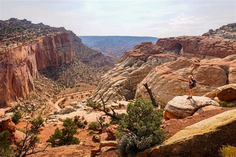 One Day In Capitol Reef National Park Uprooted Traveler