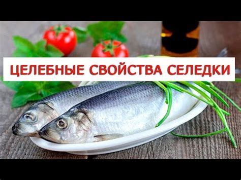 Целебные свойства селедки - YouTube