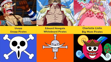 Pirate Crews And Their Captains In One Piece YouTube