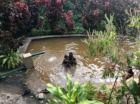 Ti Kwen Glo Cho Hot Springs Dominica 2019 All You Need To Know Before You Go With Photos