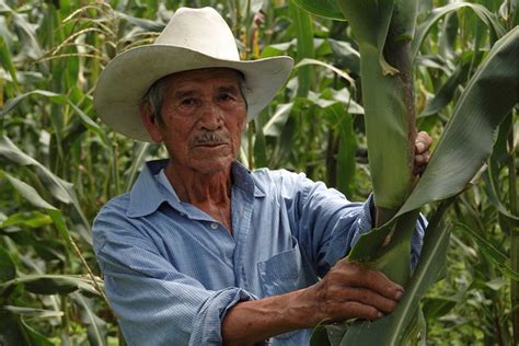 Producción para el Bienestar un programa para las y los productores