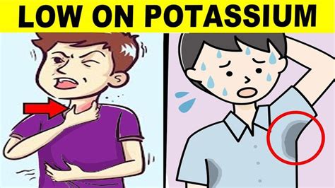 9 Signs You Have A Potassium Deficiency Youtube 2024