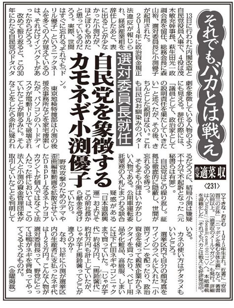 自民党を象徴する小渕優子が選対委員長に野党には“カモネギ”のようなものだ 適菜収「それでもバカとは戦え」（日刊ゲンダ 赤かぶ