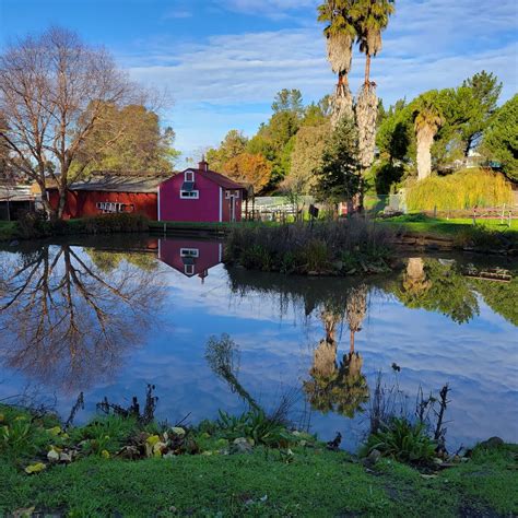 Help Care For Farm Animals At Loma Vista Farm Vallejo Ca