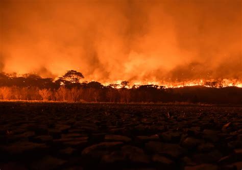 Brasil los incendios que afectan al Pantanal podrían causar daños