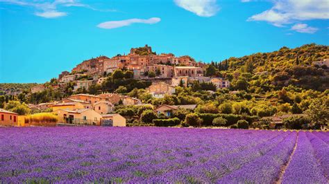 guided tours  trips  provence guided tours  south  france