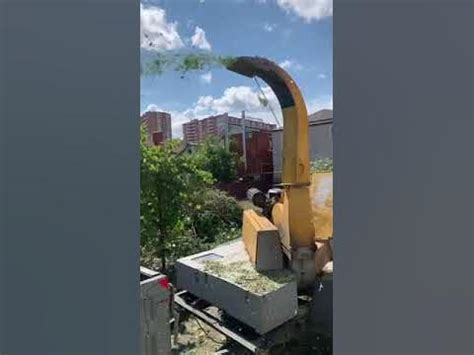 Производим дробление веток в щепу в г. Краснодар. Записаться на ...