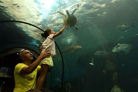 Phuket Aquarium, Phuket - Times of India Travel