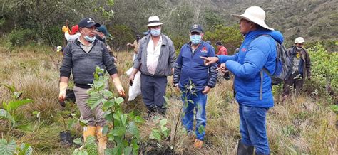 La Car Inicia Reforestaci N En El Sector Del Nacimiento Del R O Bogot