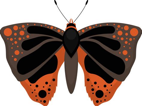 Im Genes Predise Adas De Mariposa Naranja